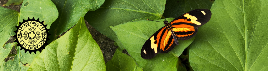 No Giro – SP de Bike