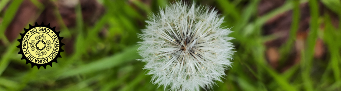 No Giro – SP de Bike