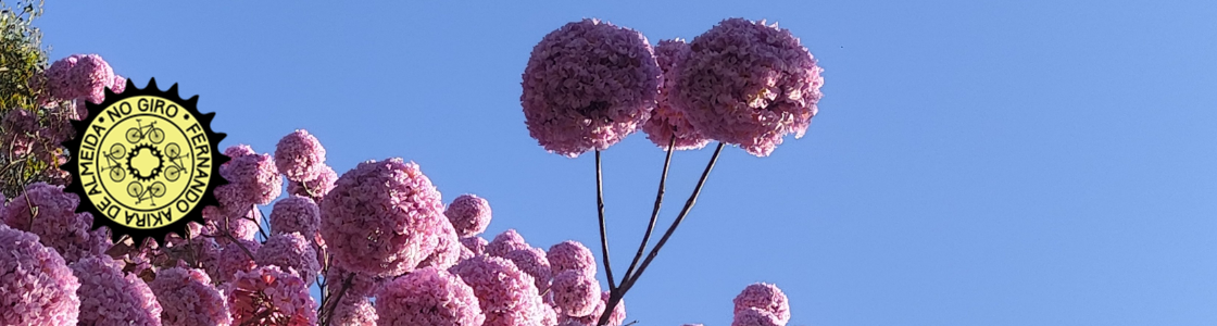 No Giro – SP de Bike