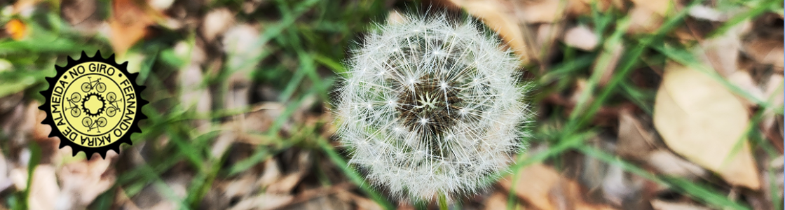 No Giro – SP de Bike