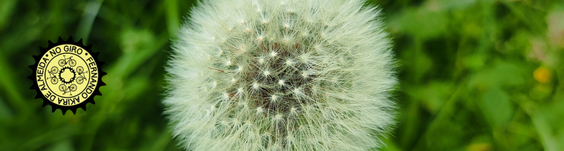 No Giro – SP de Bike